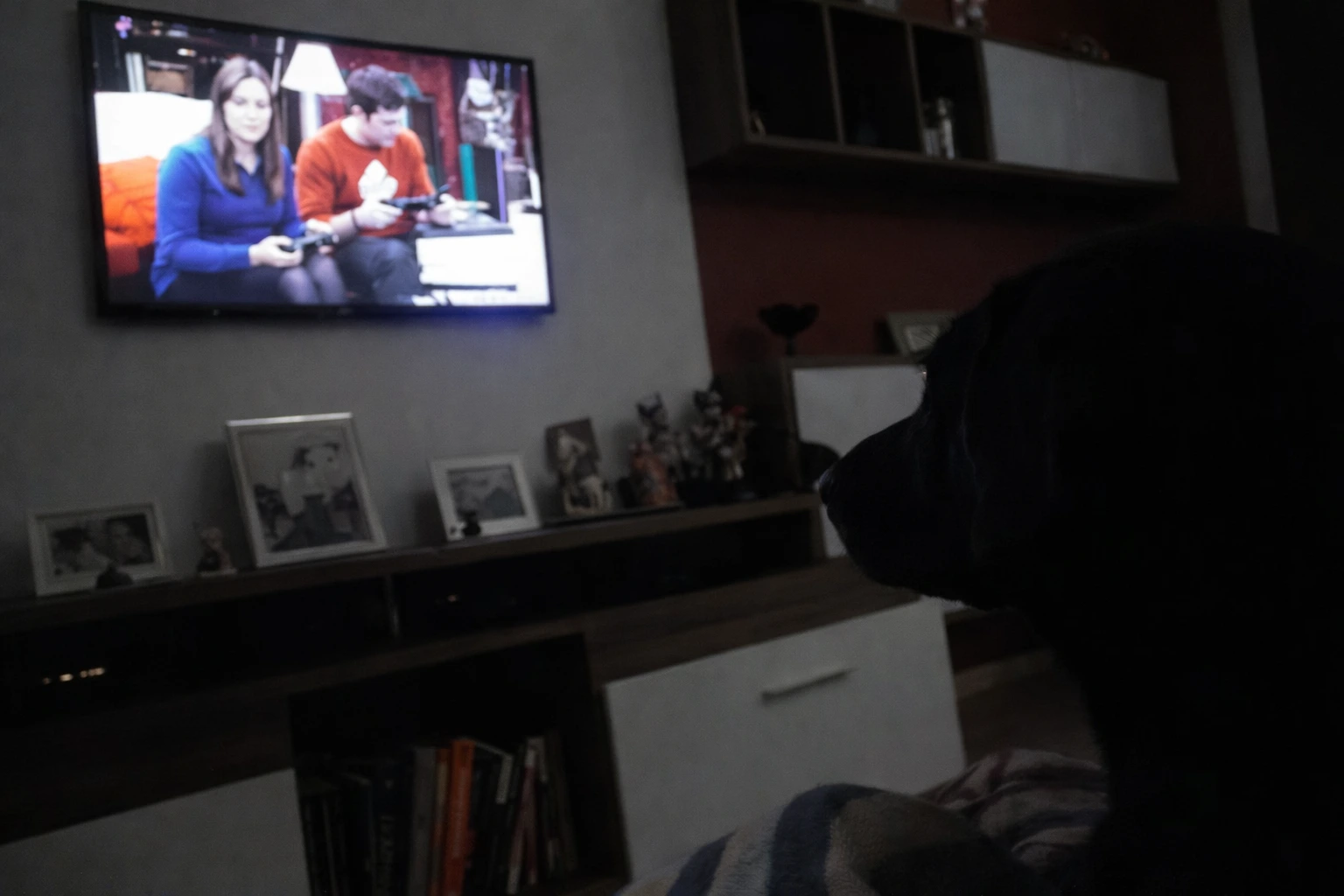 Avaliação